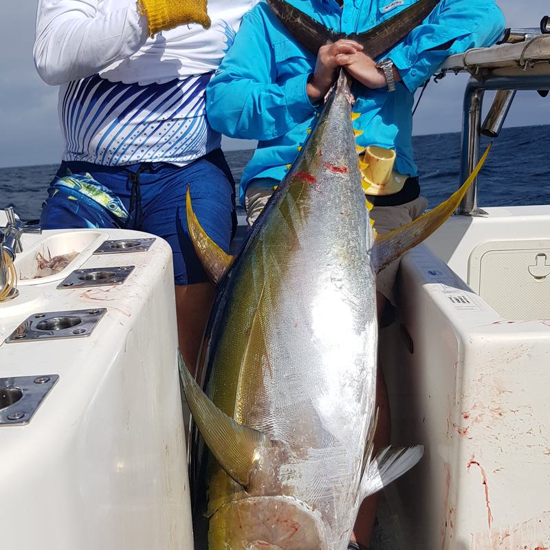 Big yellowfin tuna on board